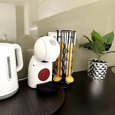 Luxury Flat In Downtown With Free Parking Apartment