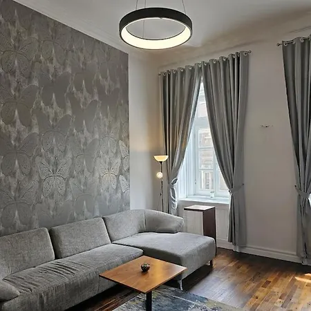 Apartment Luxury Flat In Downtown With Free Parking *