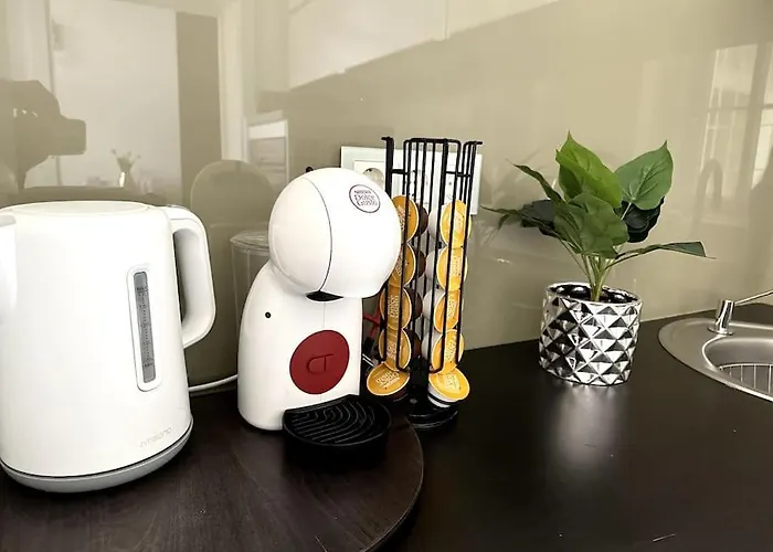Luxury Flat In Downtown With Free Parking דירה